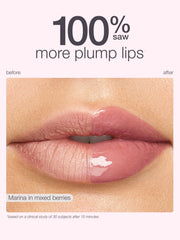 stain & plump lip and liner duo